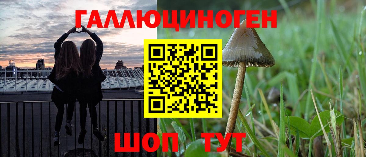 Галлюциногенные грибы MAGIC MUSHROOMS Дагестанские Огни